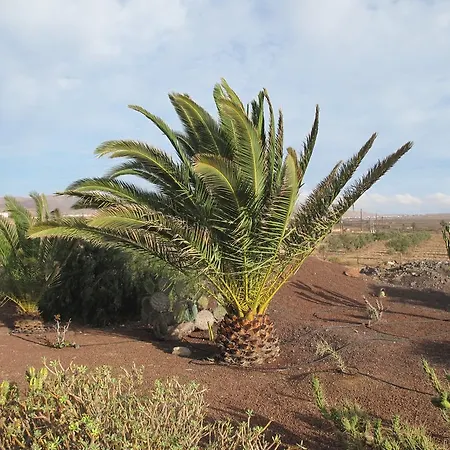 Landhaus Casa De Nico *